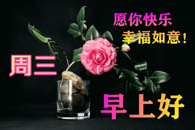 最新早晨問(wèn)候動(dòng)態(tài)表情包，溫馨問(wèn)候，從表情開(kāi)始！