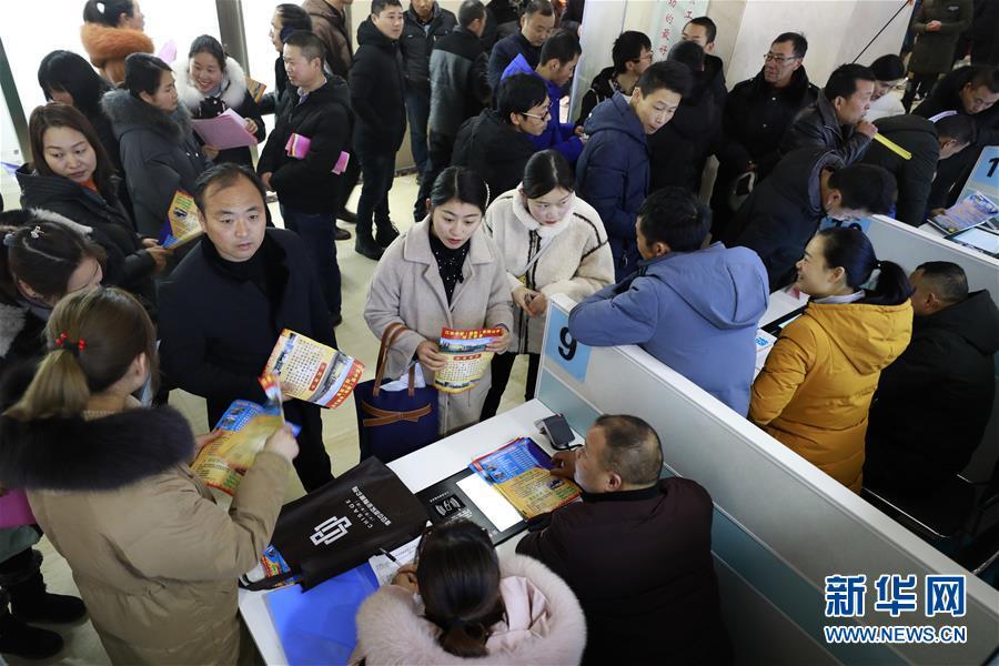 江蘇最新招聘信息揭秘，啟程探索自然美景，尋找內心平和之旅