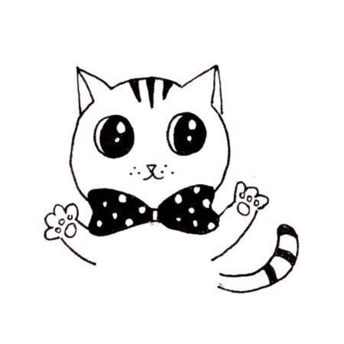 喵咪動漫，初學者與進階用戶的技能學習指南