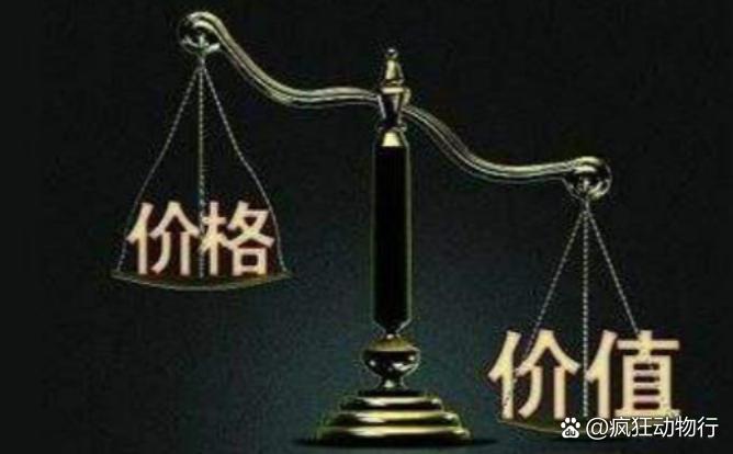 價格與價值解析，差異何在？