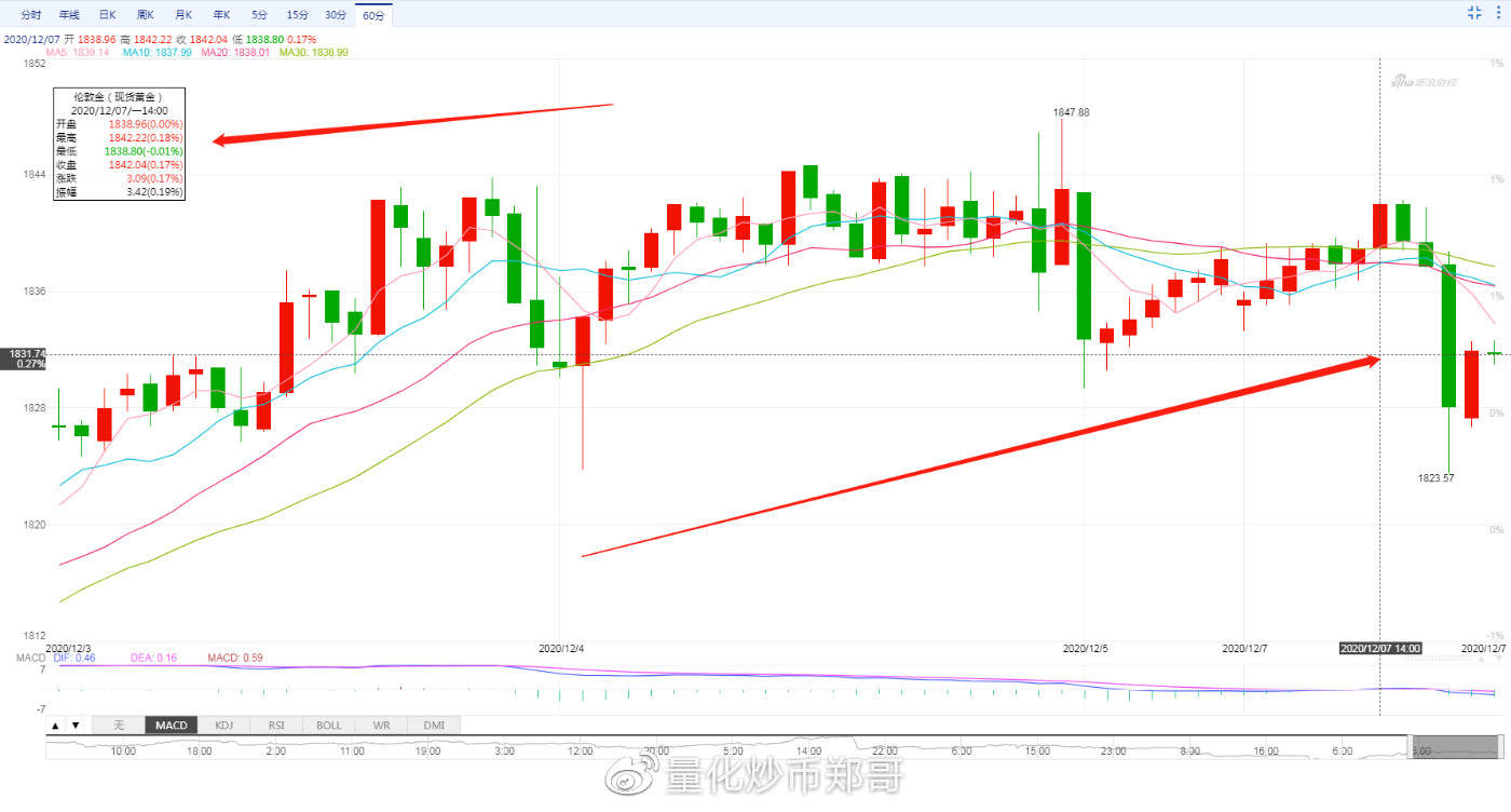 外匯今日行情，市場(chǎng)波動(dòng)與溫馨故事交織的旅程