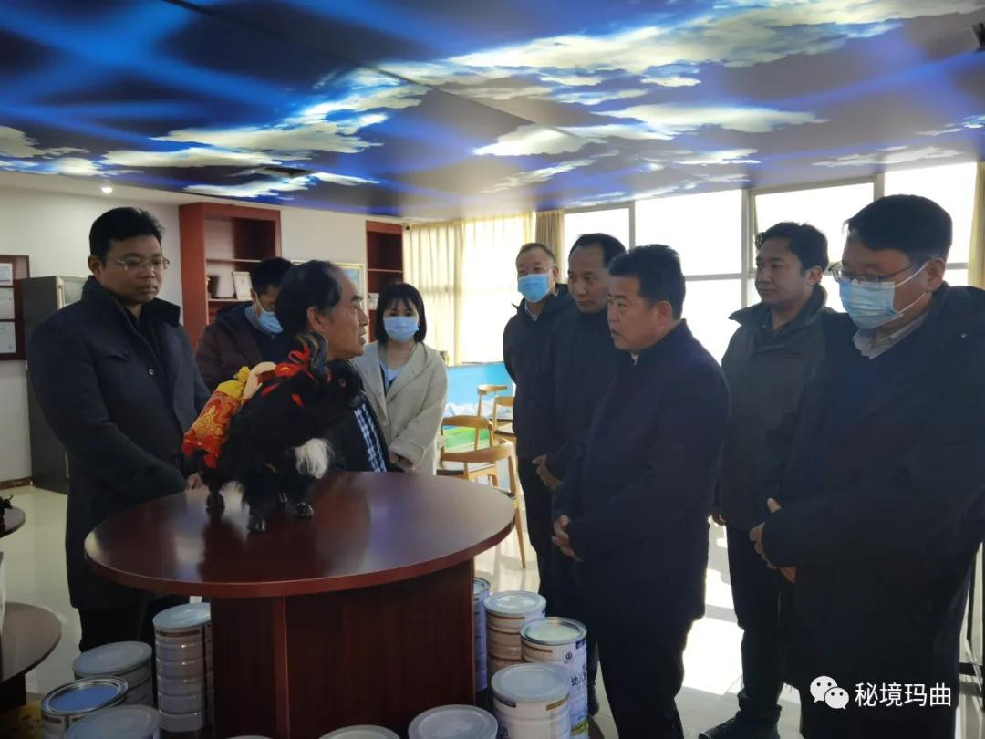 高原之寶上市，學(xué)習(xí)、蛻變與自信的輝煌之旅