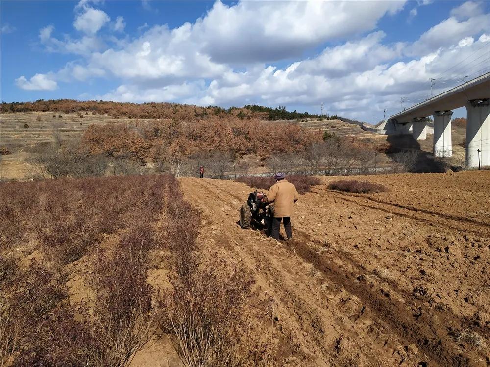 揭秘衡陽張家山規(guī)劃更新，小巷風(fēng)情與隱藏小店的獨(dú)特魅力