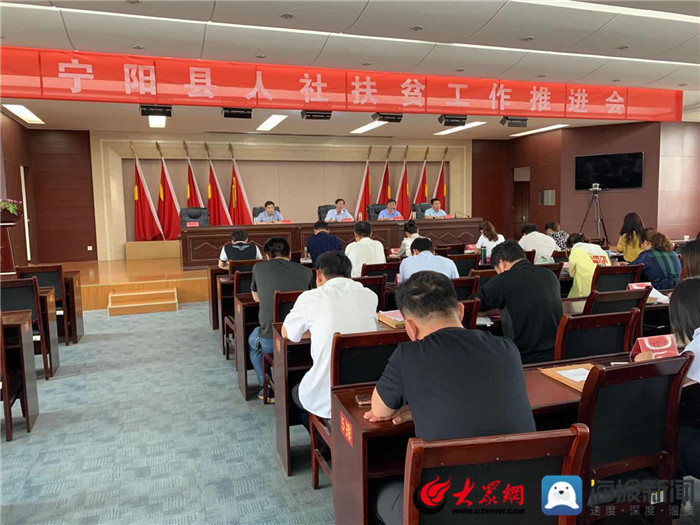 寧陽網(wǎng)最新資訊，城市中的溫情日常