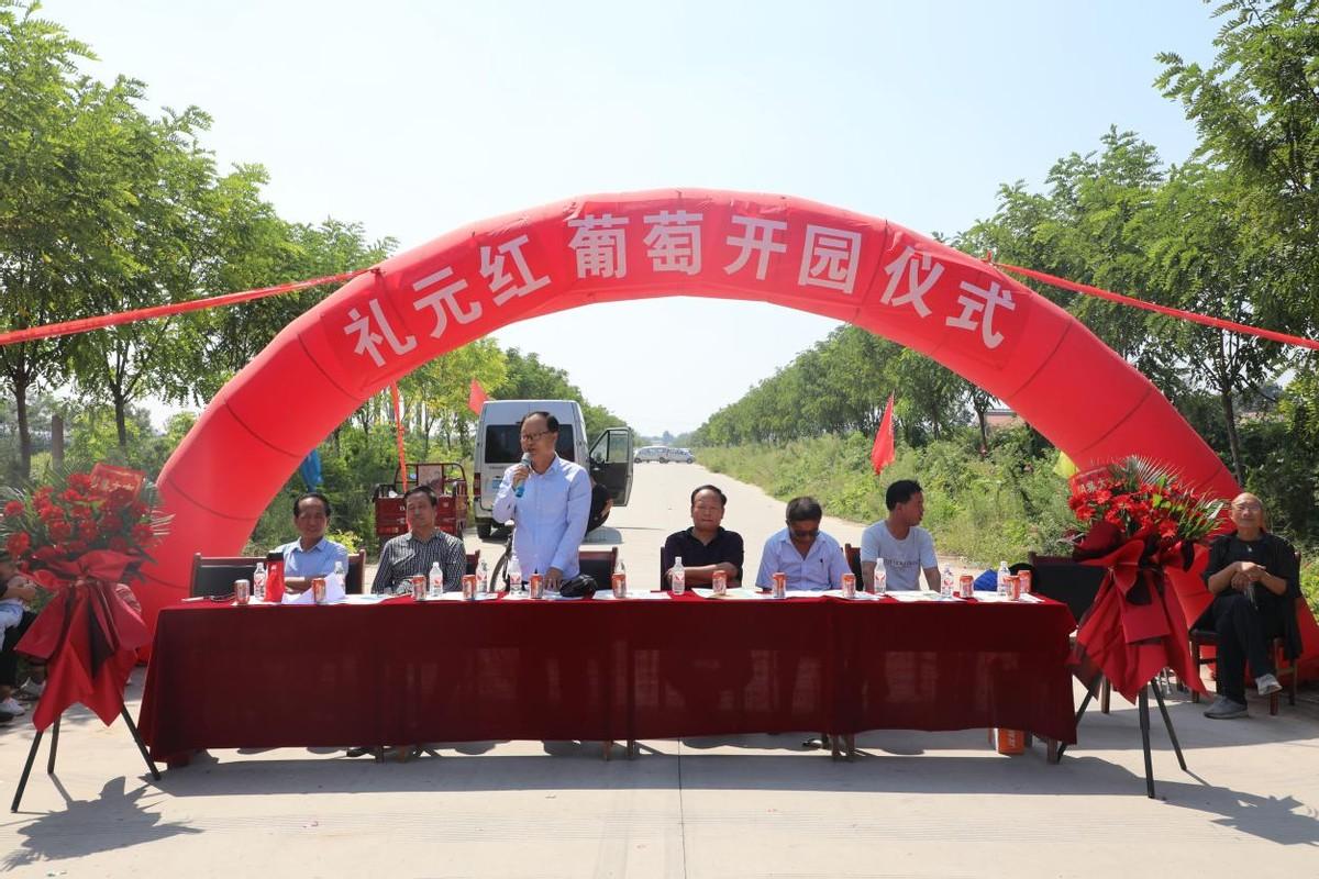 未來(lái)五年葡萄種植行情展望與趨勢(shì)分析