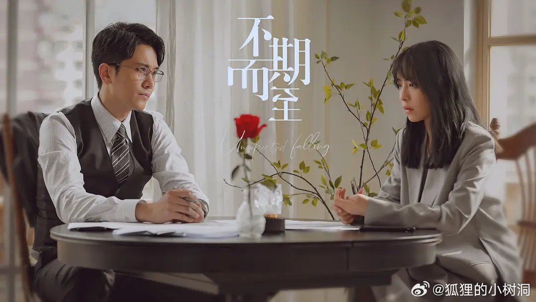 不期而至電視劇，從入門到進(jìn)階的觀看指南