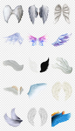 動漫翅膀繪制指南，從白紙起步，繪出飛翔的勵志翅膀！