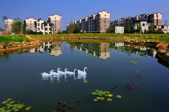 萍鄉(xiāng)安源湖，最新動態(tài)揭示湖畔變革與自我超越之旅