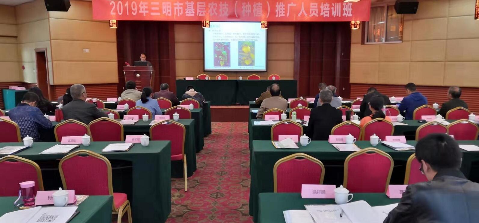 豇豆最新，廚房中的友情與家的溫馨