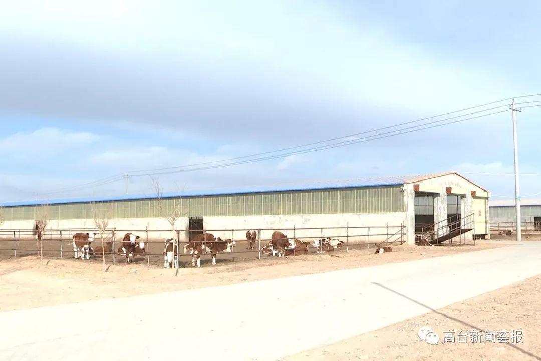 最新養(yǎng)殖場建設政策解讀，探索之旅啟程