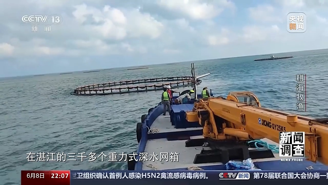 最新海水養(yǎng)殖,最新海水養(yǎng)殖，一種前沿農(nóng)業(yè)技術(shù)的觀點(diǎn)分析