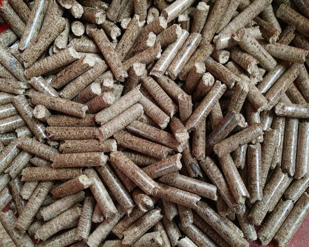 生物顆粒市場趨勢、影響因素及前景展望分析，行情概覽與未來展望