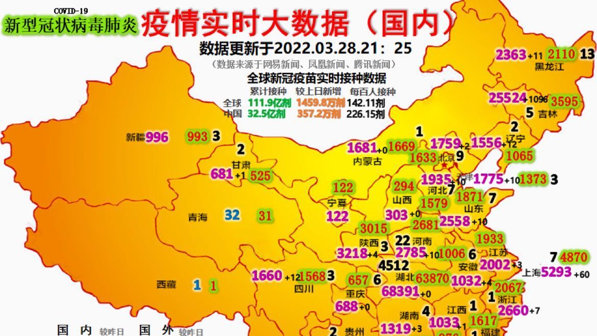 最新疫情動(dòng)態(tài)詳解，初學(xué)者與進(jìn)階用戶的步驟指南