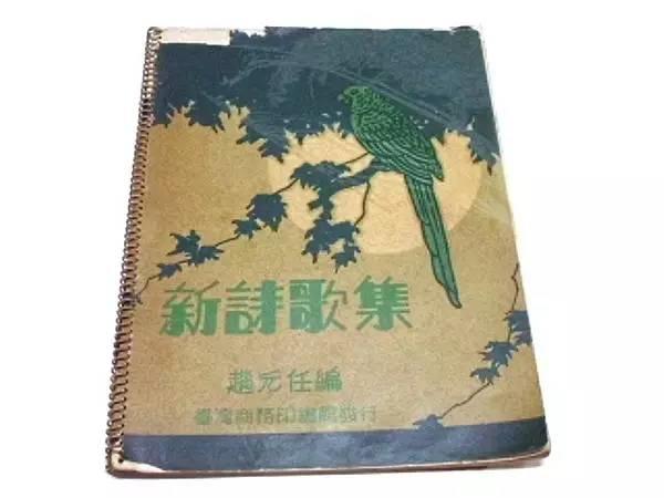 音樂比賽作文，激情與才華的交響盛宴，展現(xiàn)音樂魅力與才華的舞臺