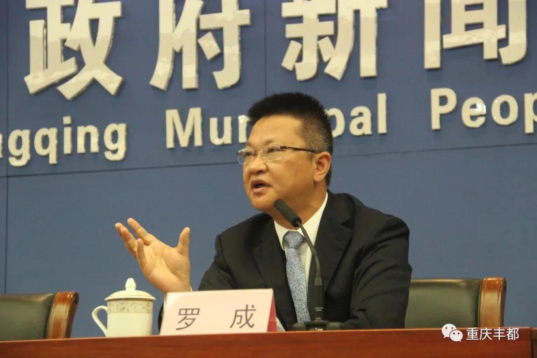 豐都新聞快訊，日常溫情與陪伴的瞬間