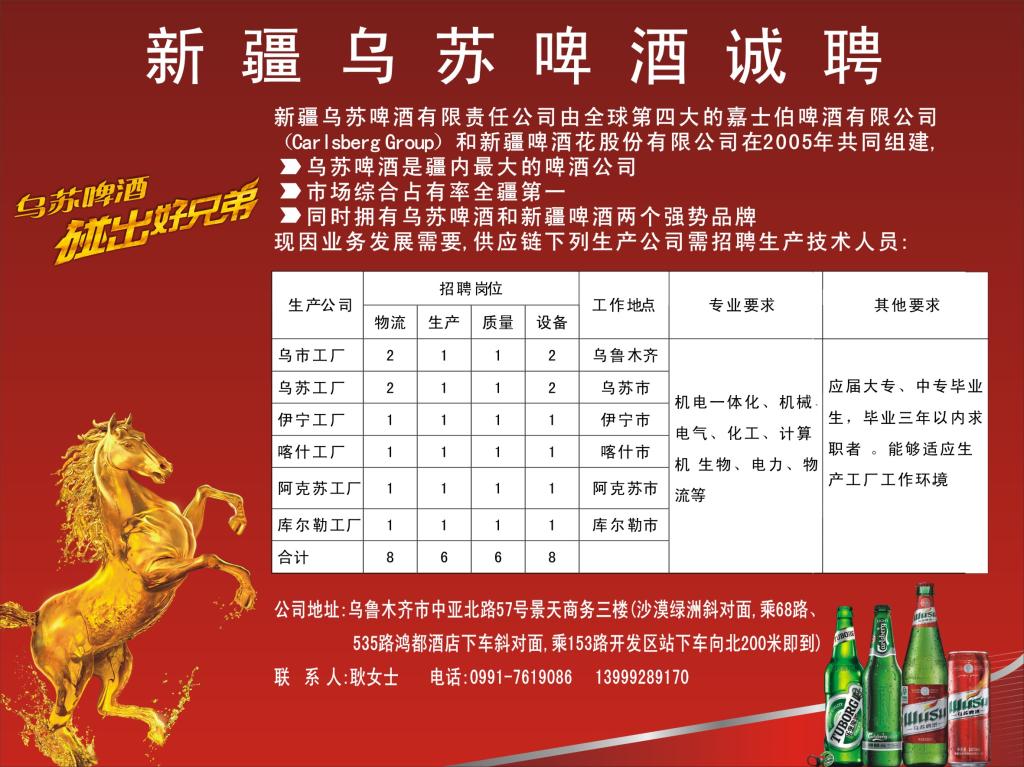 烏蘇政府最新招聘公告，應聘指南全解析