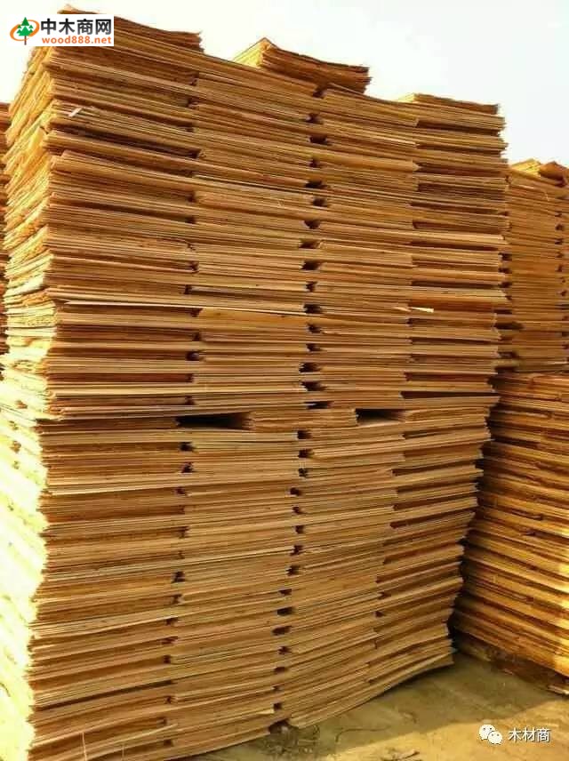 科技革新引領(lǐng)板皮廠行情，開(kāi)啟板材加工新時(shí)代