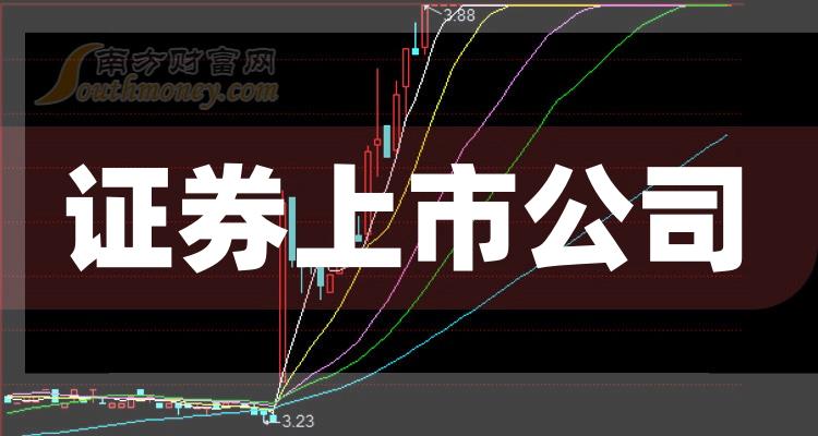 科技巨頭引領(lǐng)下的全新視界，股票上市公司概覽