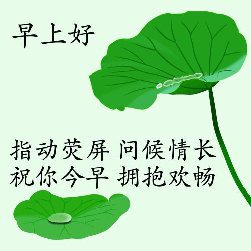 最新疫情動態(tài)下的自然探索之旅，追尋內(nèi)心的平和與寧靜