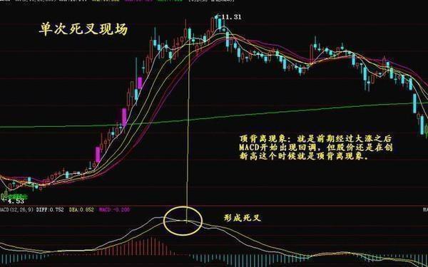 科技前沿與股票新紀(jì)元，最新高科技產(chǎn)品體驗(yàn)介紹與股票解析