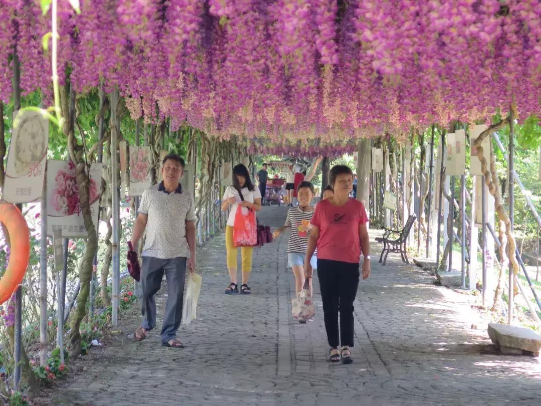 收入寶全新版本，家庭與友情的交織故事