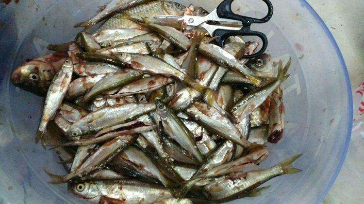 昆明最新野釣地點(diǎn)探索，重拾生活激情與自信的自然之旅