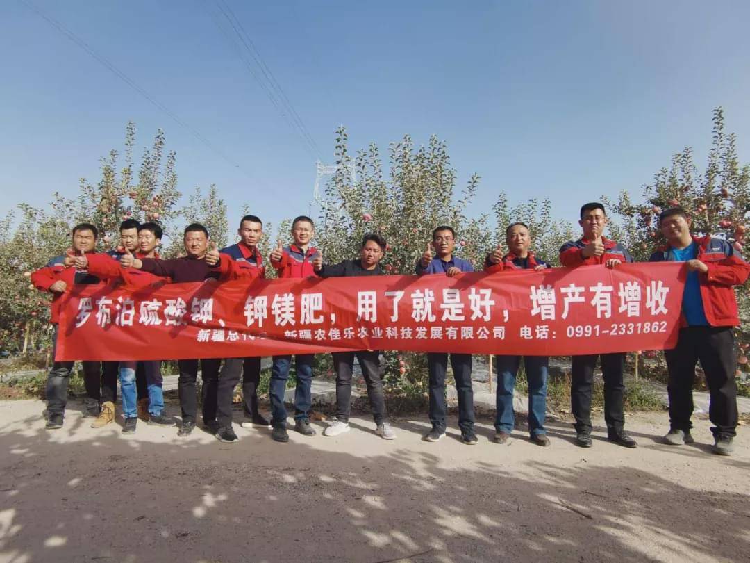 新疆國(guó)投羅鉀最新動(dòng)態(tài)，全面指南與最新發(fā)展概述