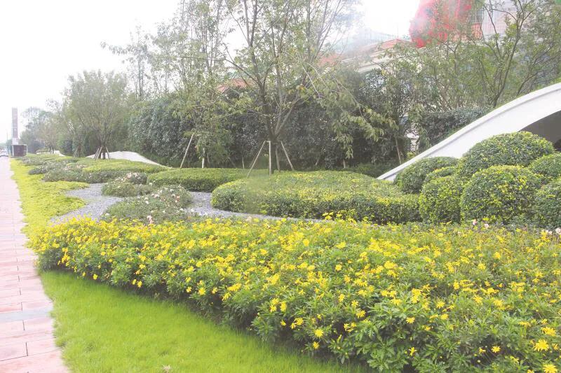 嬢王演員的自然之旅，邂逅美景，尋找內心平和之道