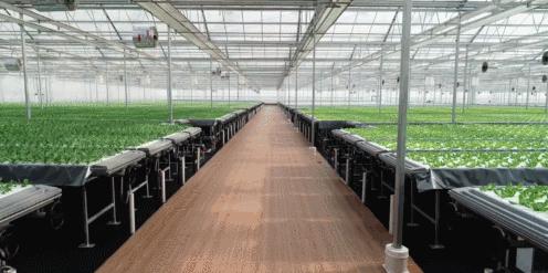 劉東強(qiáng)新動(dòng)態(tài)，時(shí)代浪潮中的矚目焦點(diǎn)人物