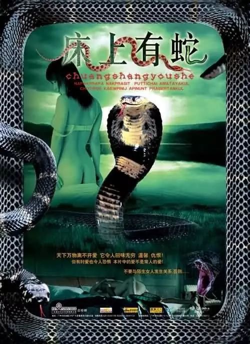 最新蛇片，蛻變的旅程，召喚自信與成就感的冒險(xiǎn)之旅