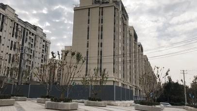 趙村最新動態(tài)，鄉(xiāng)村振興新篇章開啟