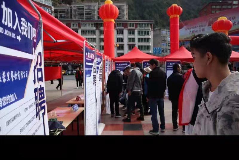 青白江招聘信息探索，小巷中的職業(yè)機(jī)遇