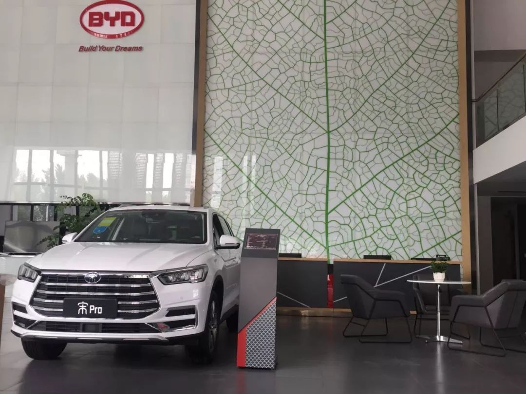 重磅更新，比亞迪最新招聘信息揭秘???