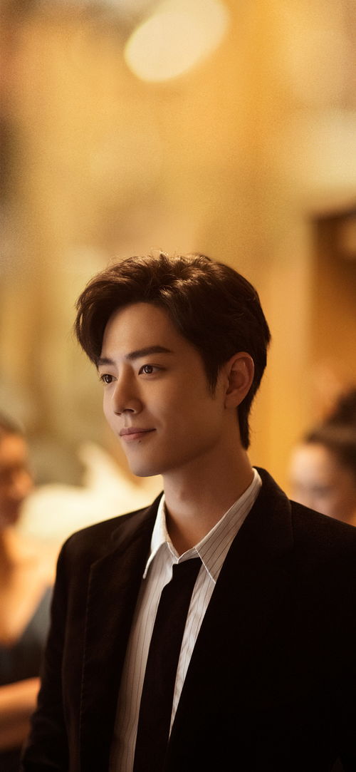 武打演員劉振嶺，武術(shù)魅力與銀幕英雄之旅的傳奇人物