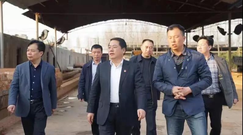 商丘王仲田最新動(dòng)態(tài)，探索自然美景的旅行，尋求內(nèi)心平和之旅