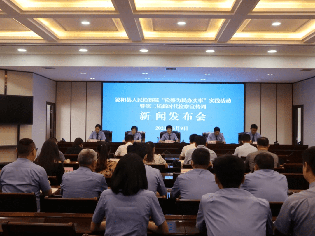 泌陽新聞最新動(dòng)態(tài)，多元視角下的觀察與思考