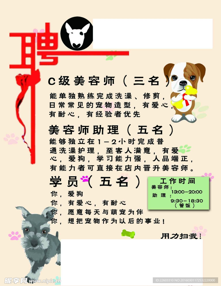 寵物店招聘最新動態(tài)，共探自然之美，尋求內(nèi)心寧靜