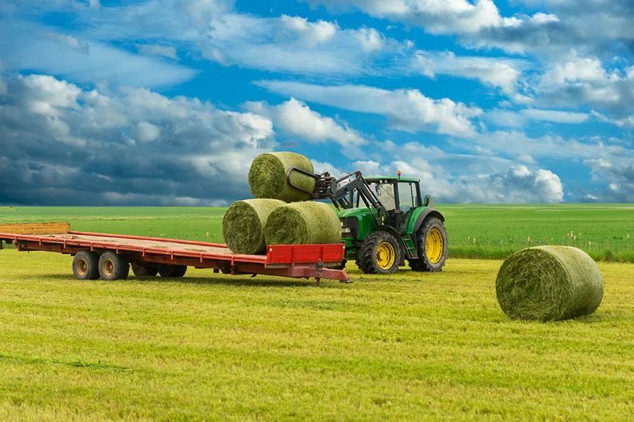 農(nóng)業(yè)最新動(dòng)態(tài)，時(shí)代的脈搏與綠色希望共舞