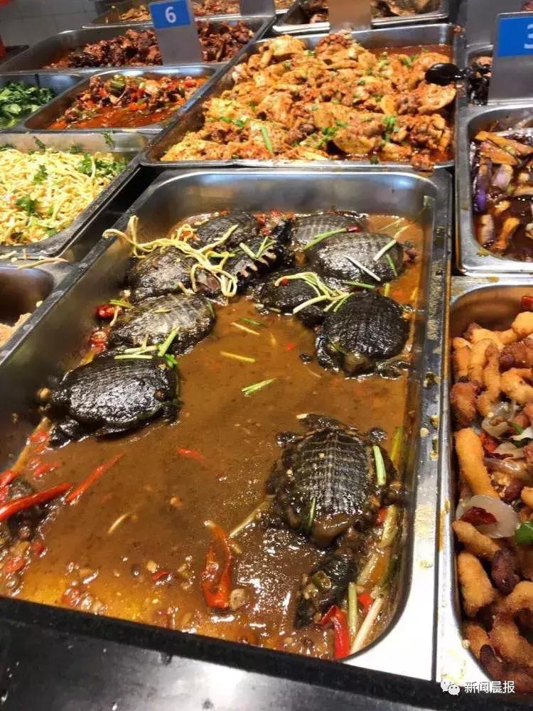 探索食堂美食新潮流，最新食堂菜一覽