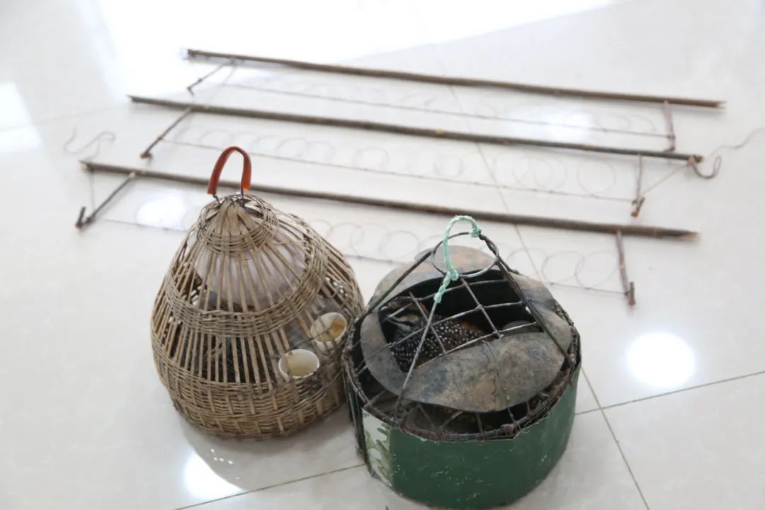 小巷中的神秘寶藏揭秘，最新捕鳥工具揭秘