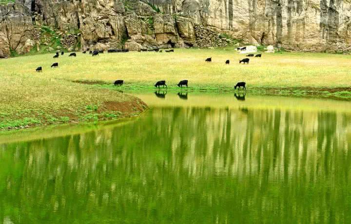 青草最新在線視頻，自然與科技融合之美展現(xiàn)的力量