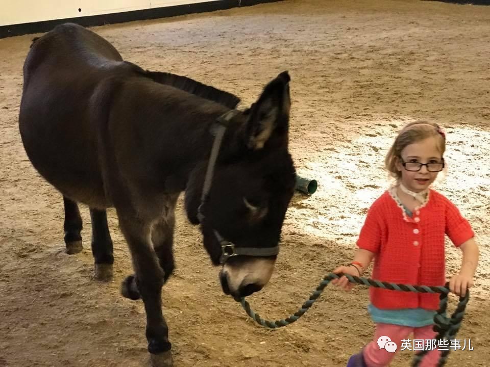 二驢子最新事件揭秘，事件全貌大揭秘！