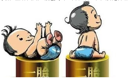 最新雙胞胎補(bǔ)助政策，攜手同行，助力孕育夢想之路