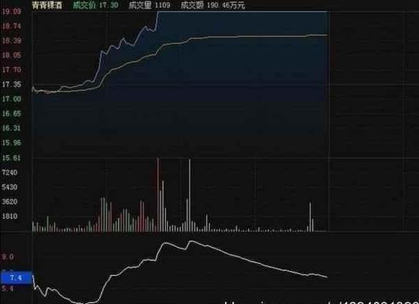 胡立陽最新探索，自然美景的治愈之旅