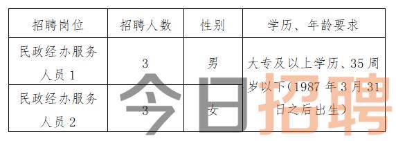 慶陽最新招聘揭秘，小巷中的特色小店，探索未知寶藏的職場之旅