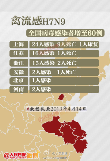 山東禽流感最新動態(tài)，友情與陪伴的溫馨故事