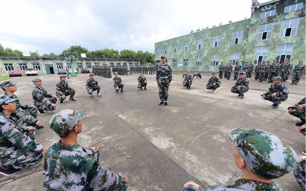 遼寧人才網最新招聘，時代脈搏與人才匯聚的交匯點