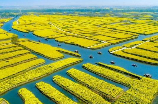 農(nóng)夫綜合最新動態(tài)深度解析與我的觀點分享