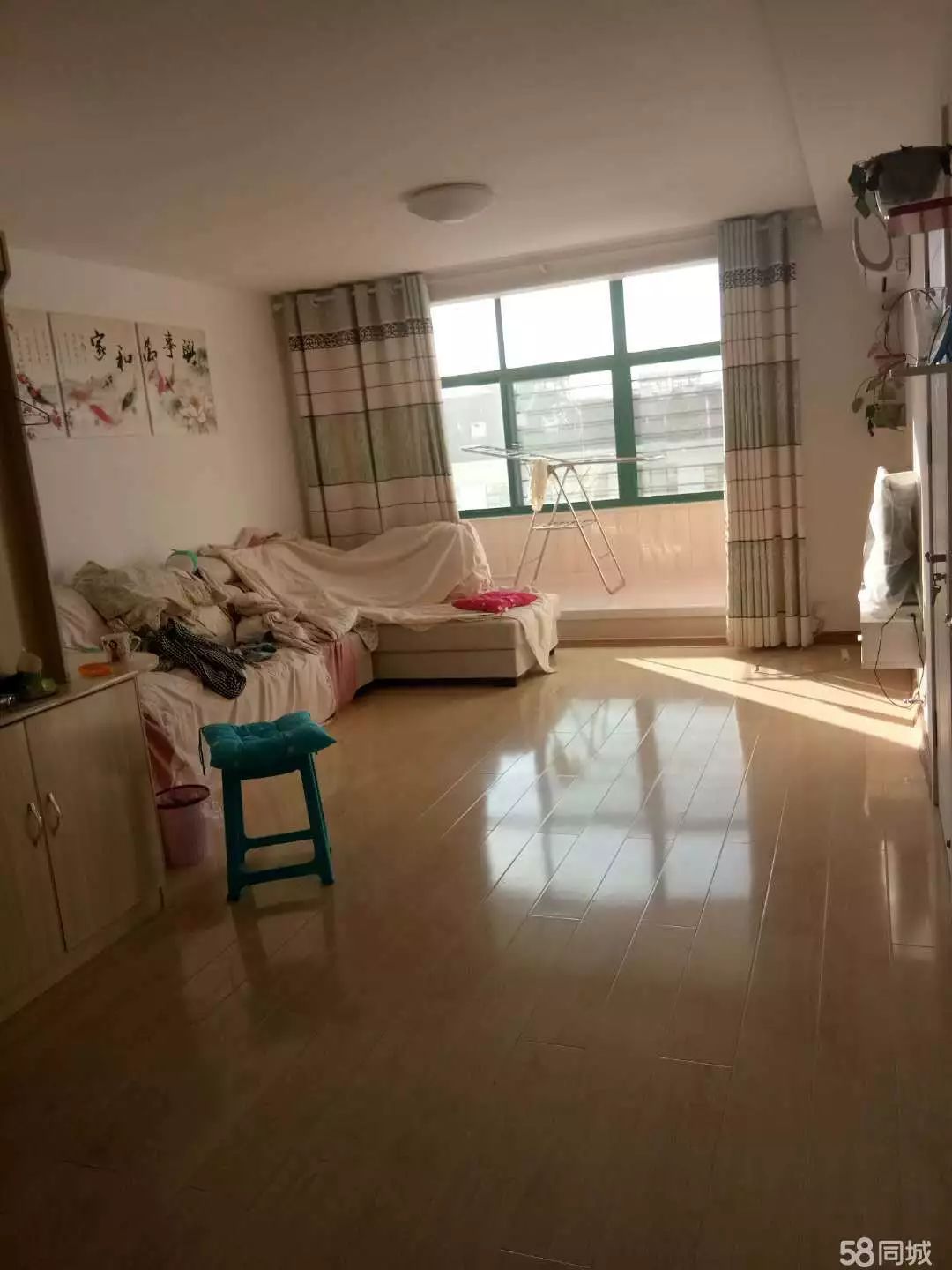 萊西最新個人租房，窗外世界與自我成長的旅程