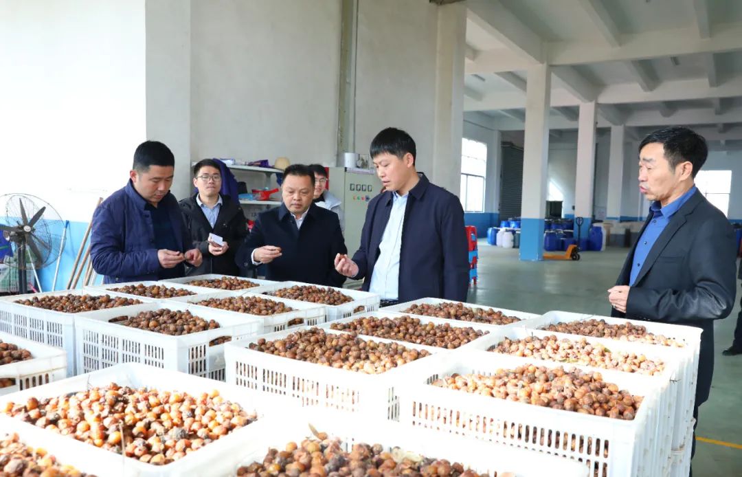 建寧最新新聞，城市溫馨日常與友情力量的展現(xiàn)